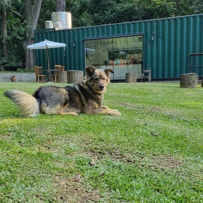 Casa Container Na Represa De Guarapiranga! Sonho! Villa Сао Паоло Екстериор снимка